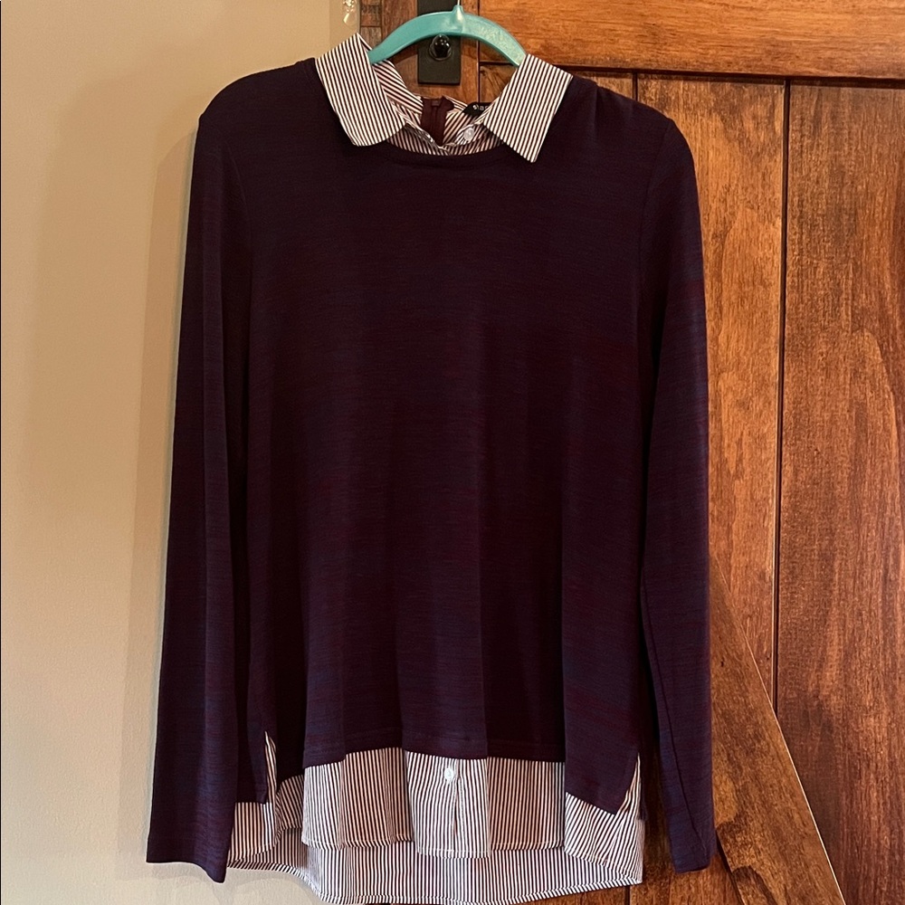 Sharagano Purple Blouse with Striped Collar